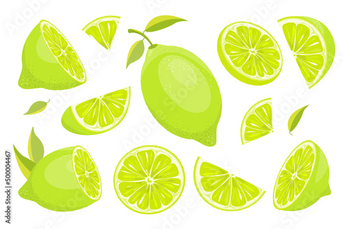A set of ripe, juicy green limes. Whole lime, cut in half, slices and pieces of ripe fruit.Citrus fruits with leaves.Vector illustration.