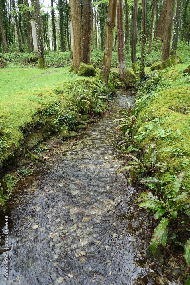 Ruisseau d'agrément dans un parc romantique Ruisseau d'agrément dans un parc romantique