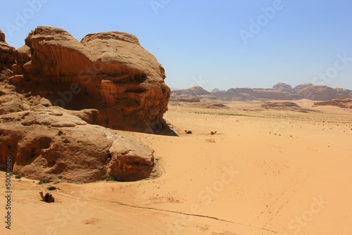 Nature is the material world of the universe, in fact — the main object of the study of natural sciences. In everyday life, the word 