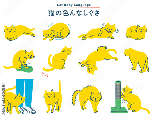 猫の色んなしぐさイラストセット