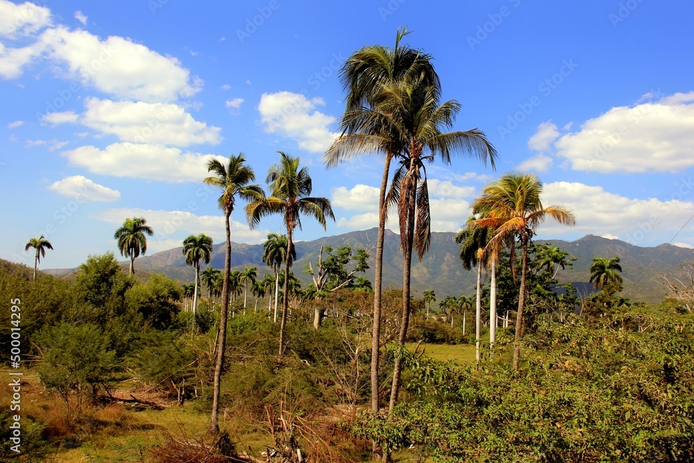 Nature is the material world of the universe, in fact — the main object of the study of natural sciences. In everyday life, the word Nature is the material world of the universe, in fact — the main object of the study of natural sciences. In everyday life, the word