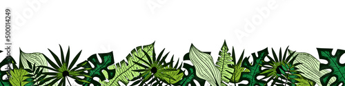 Vector banner of tropical leaves, floral border, seamless pattern