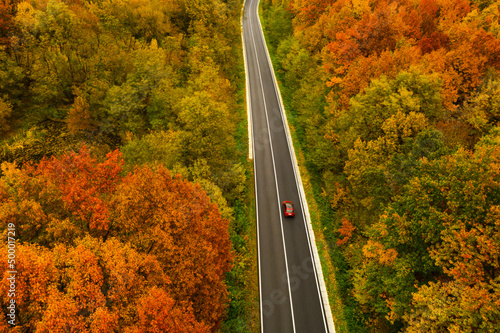 Aerial view of road going through beautiful autumn forest