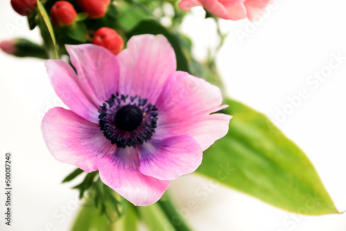 Anemone  mix flowers bouquet 