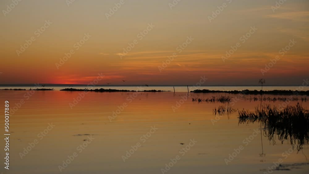 Reflection of beautiful sunset in the sea and flying birds in the background Reflection of beautiful sunset in the sea and flying birds in the background