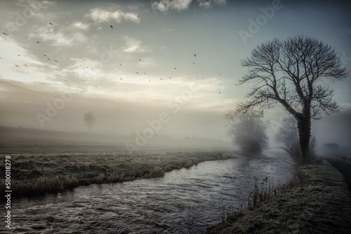 Misty morning by the river bank