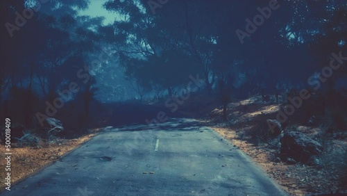 Asphalt road through the deep forest