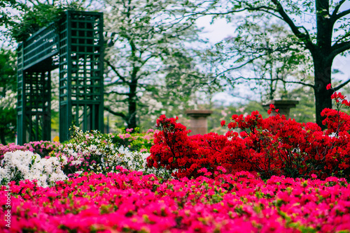 Wallpaper Mural 春の庭 洋風 庭園 Torontodigital.ca