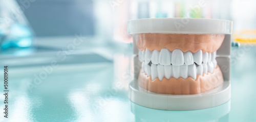 Dental equipment, typodont model teeth in the laboratory, researching about teeth, dental background, white healthy teeth, white teeth model on blur background, laboratory equipment component..