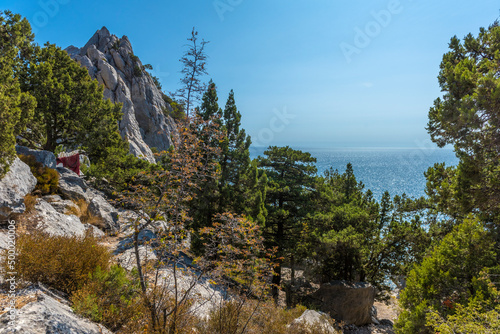 Rock Diva on beach, beautiful black sea shore landscape with mountain cliff, main nature landmark in Crimean Simeiz village