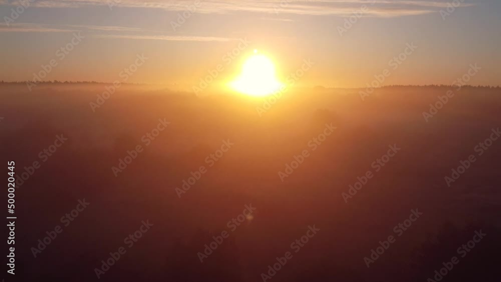 Flying over the morning fog above forest. Beautiful morning footage on mist in the valley Flying over the morning fog above forest. Beautiful morning footage on mist in the valley