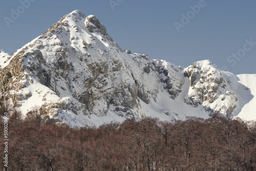 Winter in Abruzzo, Lazio and Molise National Park  photo