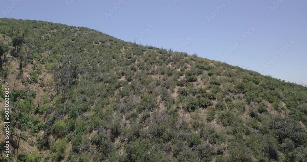 Aerial drone shot o a mountain top with bushes under a clear sky without clouds. Aerial drone shot o a mountain top with bushes under a clear sky without clouds.