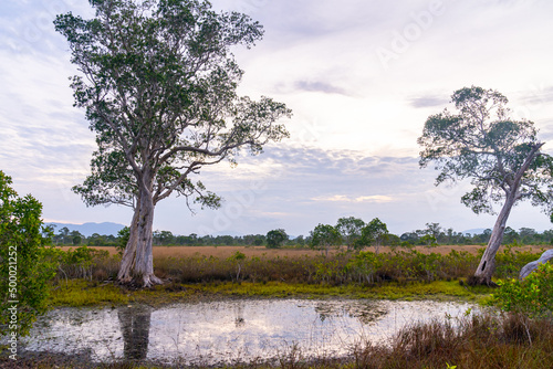 Beautiful landscape of Koh Pra Thong  Khura Buri  Phang Nga Province  Thailand - Savana Thailand