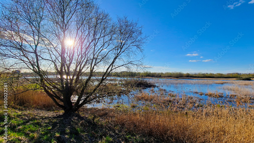 Fototapeta premium Sunny day at the ponds.