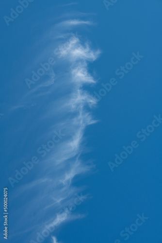 nietypowy kształt chmury na czystym błękitnym niebie