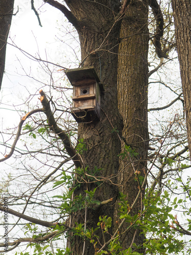 Bird house hanging on a tree photo