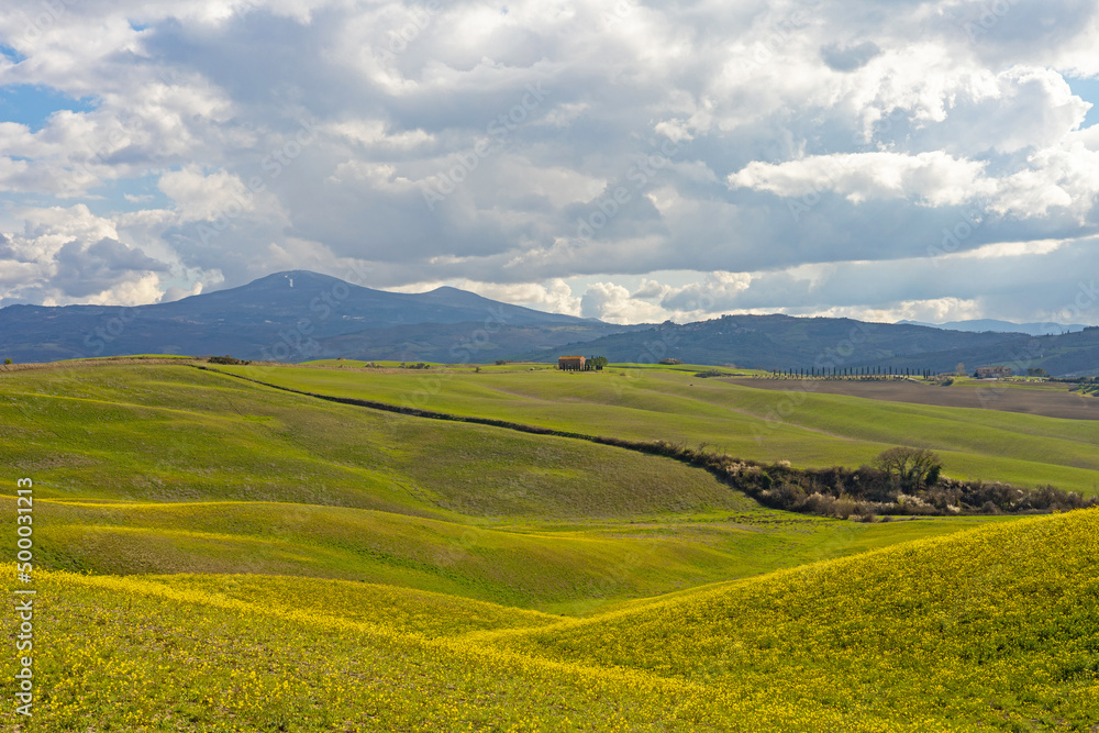 tuscan landscape near Pienza in spring