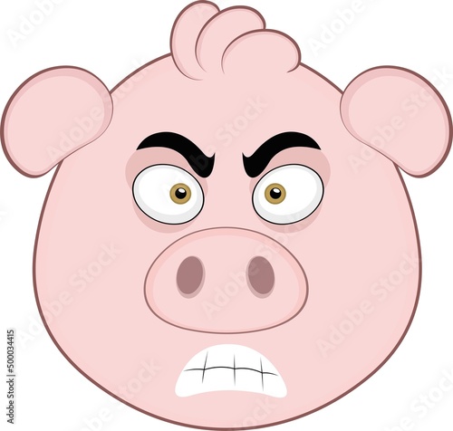 Vector illustration of the face of a cartoon pig with an angry expression