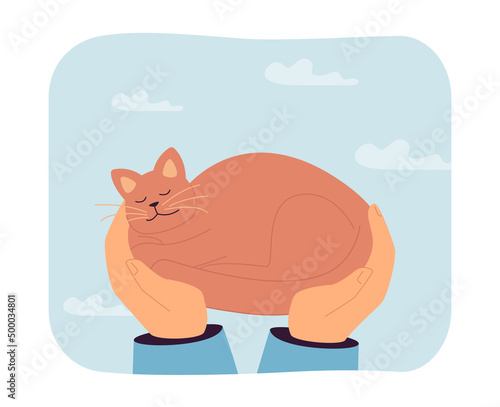 Hands holding sleeping cat flat vector illustration. Owner taking care of lovely kitten, spending time with pet. Love, friendship concept for banner, website design or landing web page