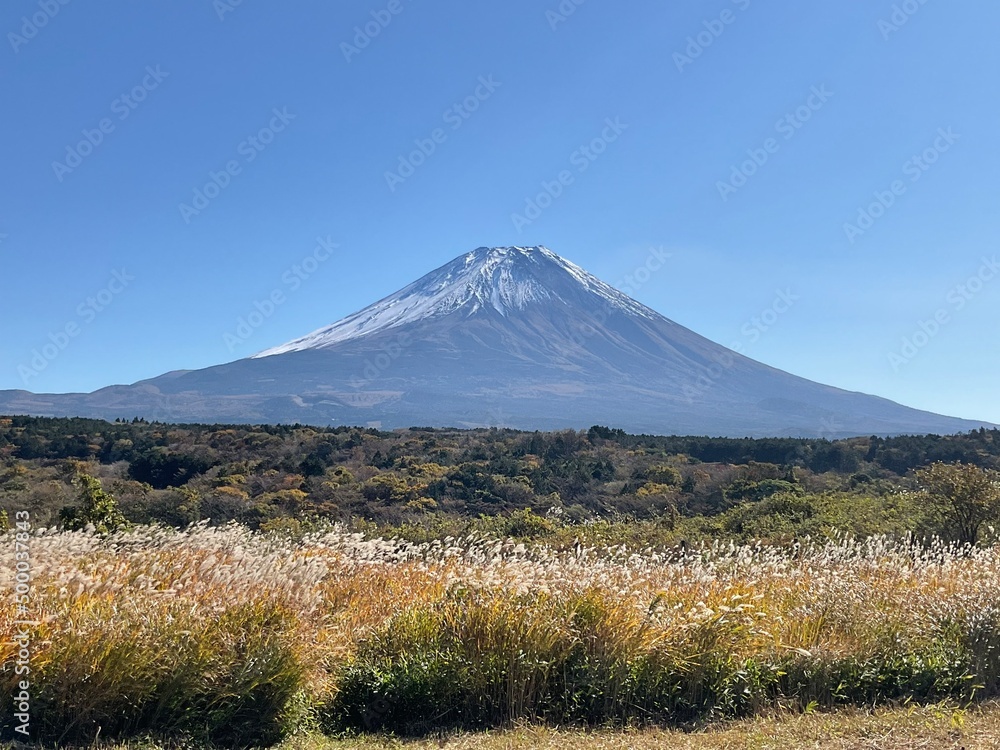 富士山