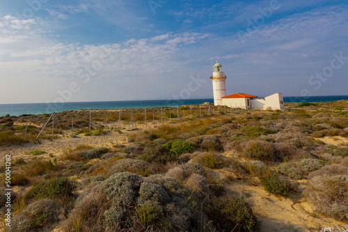 Polente Lighthouse is located at the westernmost edge of Bozcaada and was built in 1861. Polente light is 32 meters high and can send its light up to 15 nautical miles or 28 kilometers. photo