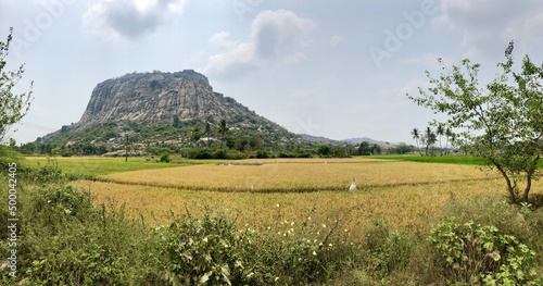 View of the fields against the massive cliff. Villupuram, Tamil Nadu, India. photo