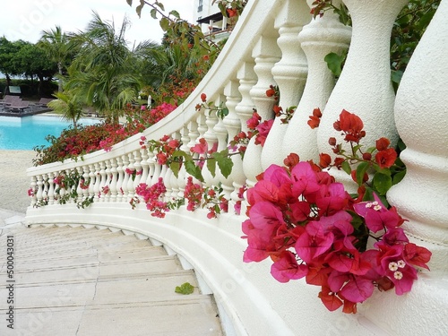 flowers on the balcony