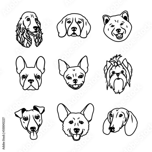 Vector image. Muzzles of dogs of different breeds
