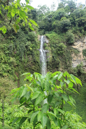 Waterfall in a Tropical Rainforest, Cimahi Indonesia. Nature View. Vertical photo