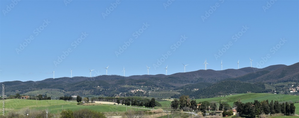 Green cultivated hills in the Tuscan countryside, panorama near Santa Luce with cloudless blue sky