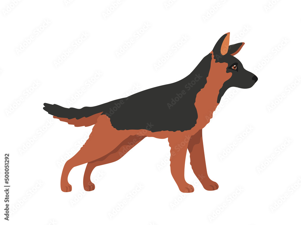 Young shepherd. Cartoon police dog, german shepsherd, vector illustration Young shepherd. Cartoon police dog, german shepsherd, vector illustration