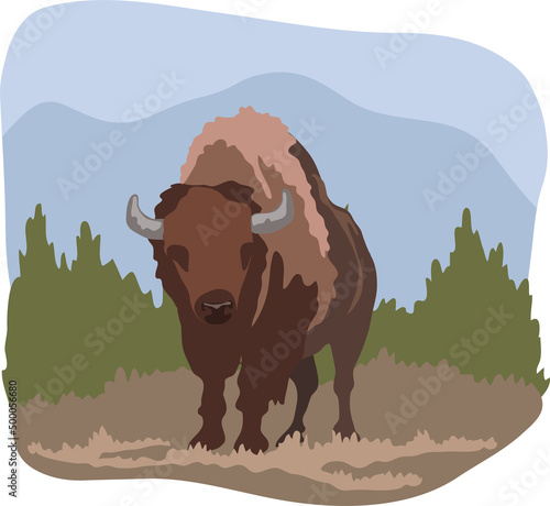 Wild bison animal  illustration