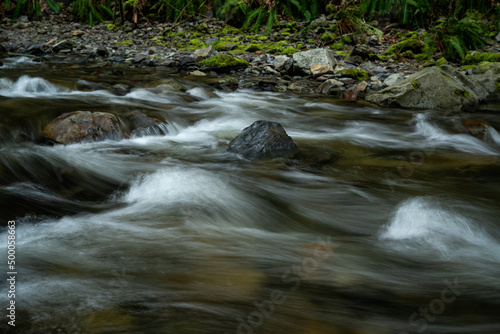 Closeup shot of a fast-flowing river stream with smooth silky water in Goldstream park photo