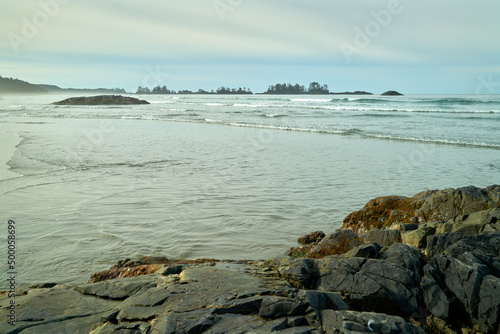 Misty Chesterman Beach Shore. Chesterman Beach on the west side of Vancouver Island in Tofino.

 photo