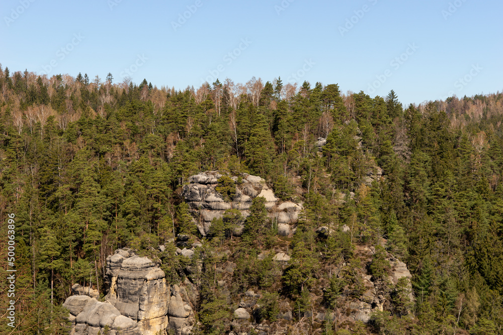 View of the sandstone cliffs and the coniferous forest in the Zittau Mountains. Saxony. Germany