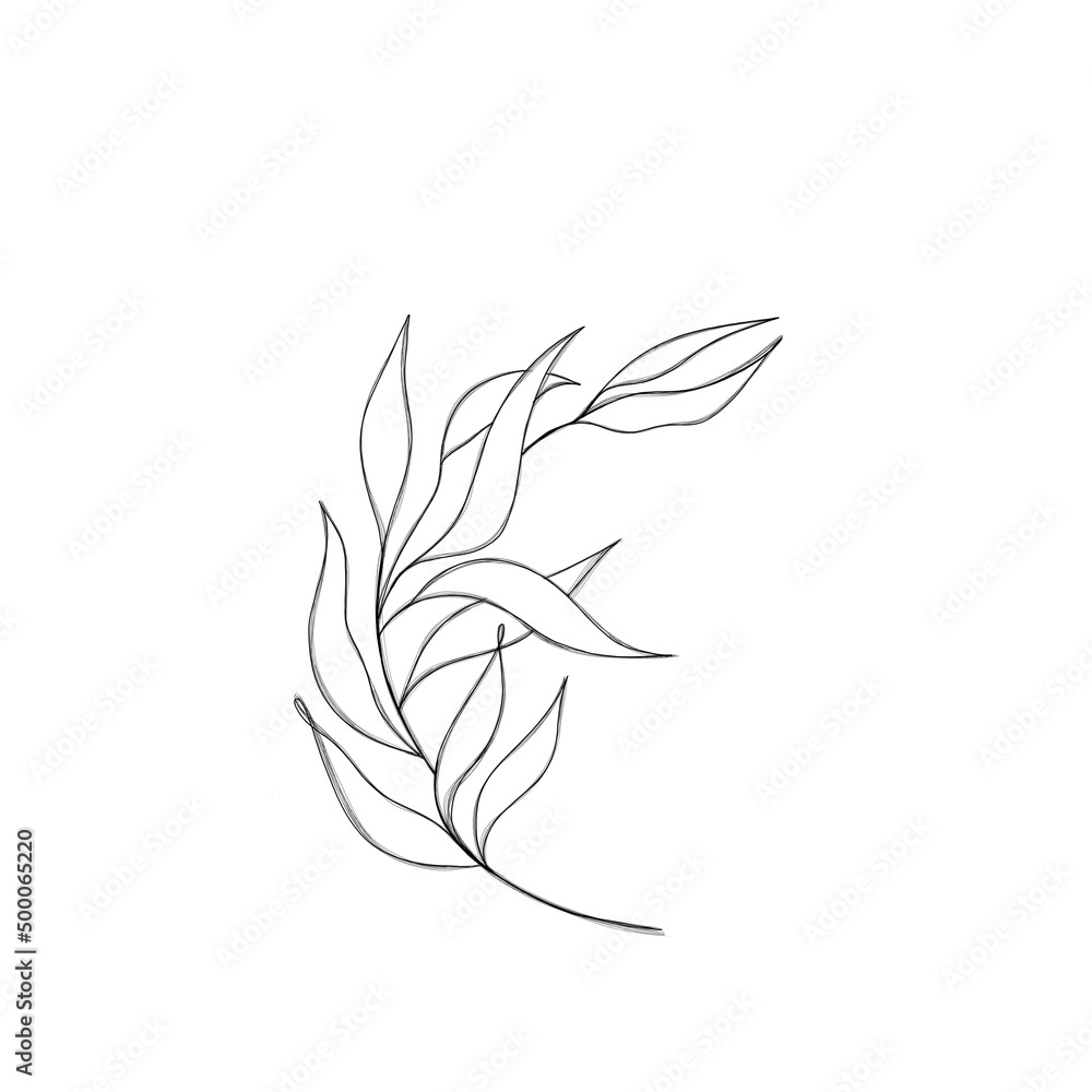 beautiful detailed sketch of plant. The idea of a twig tattoo with leaves. detailed sketch of a twig with leaves beautiful detailed sketch of plant. The idea of a twig tattoo with leaves. detailed sketch of a twig with leaves