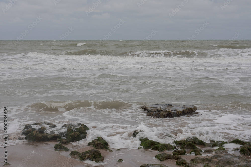 Paisaje de playa con rocas en la costa