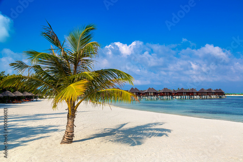 Tropical beach with single palm © Sergii Figurnyi