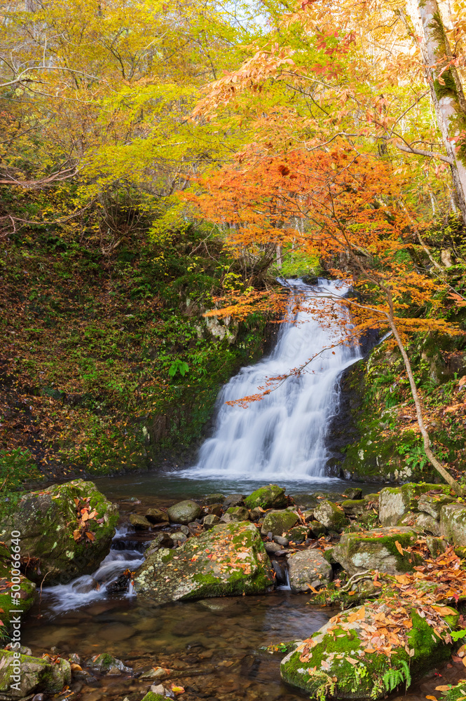 Fototapeta premium 宇津江四十八滝 紅葉