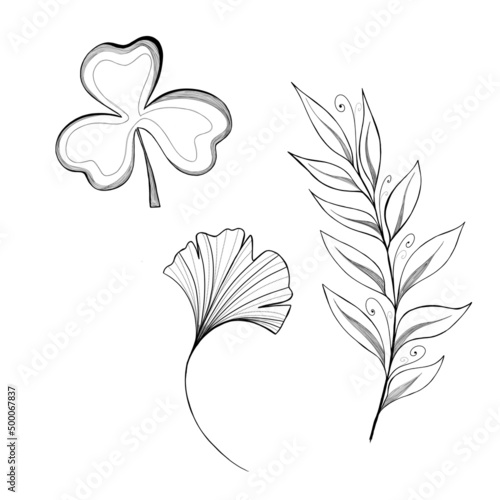 set of hand-drawn plants: ginkgo, cleve leaf and twig with leaves