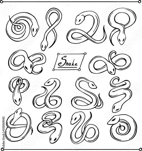Stylized vector set of snakes