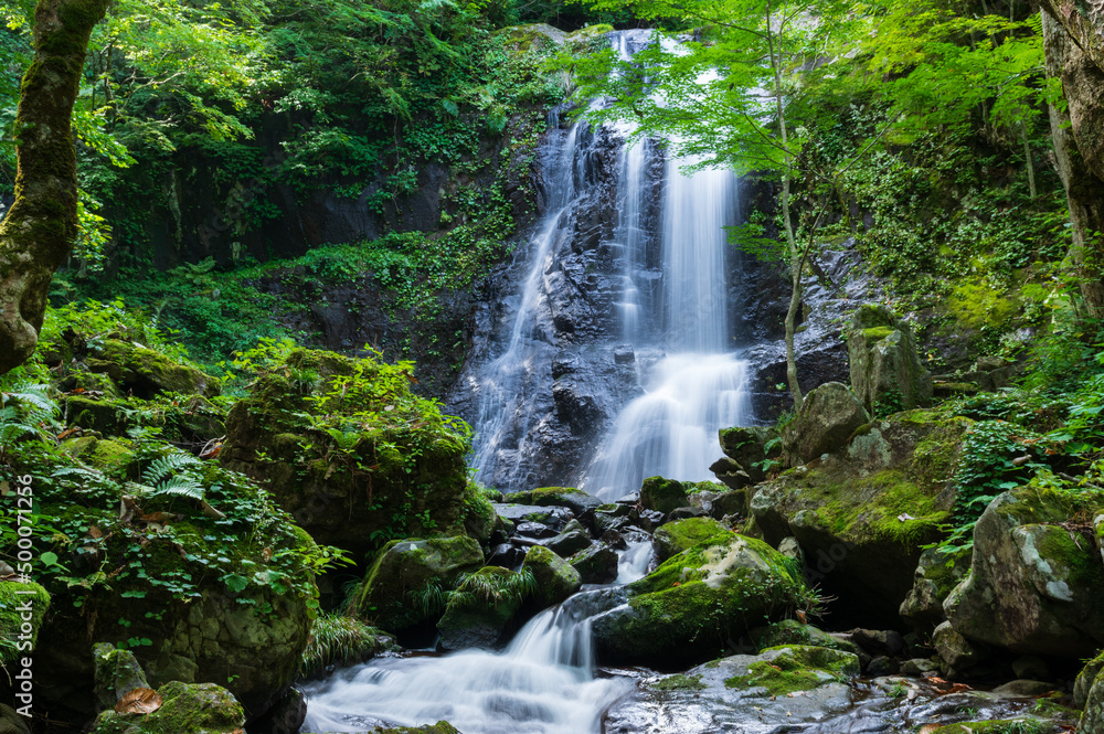 宇津江四十八滝 宇津江四十八滝