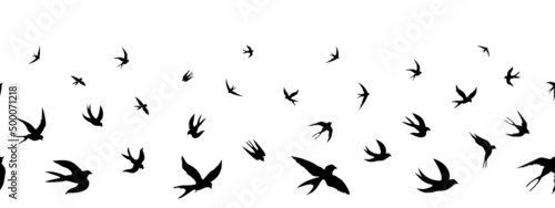 Seamless horizontal border pattern with swallows. Black silhouettes of flying birds on white background. Silhouette of a flock of swallows. Vector illustration  isolated 