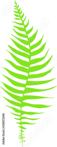 Single vector tropical fern leaf