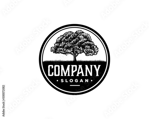 Old Oak Maple Tree Silhouette on the Park Residential landscape Hand Drawing Symbol Vintage Stamp Seal Logo Vector