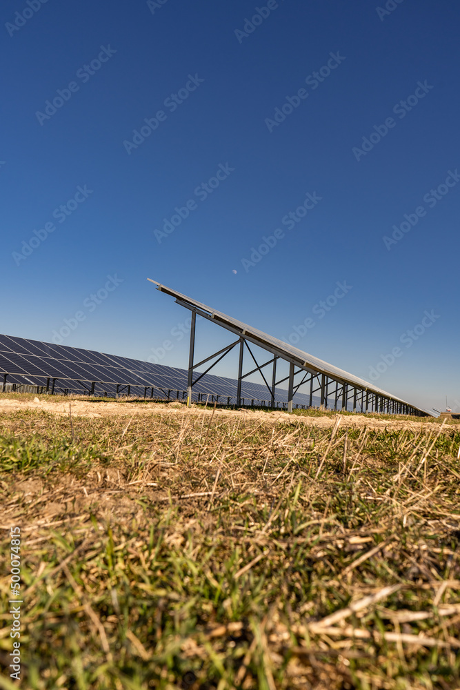 Many solar panels in northern Poland, providing energy to surrounding houses. Solar energy farm made of many panels in rows. Clear sky with no clouds and sunny weather.