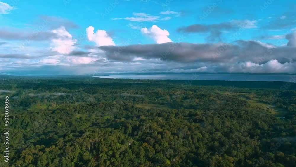 panoramic aerial view of tropical jungle and blue sky on sunny daytime panoramic aerial view of tropical jungle and blue sky on sunny daytime
