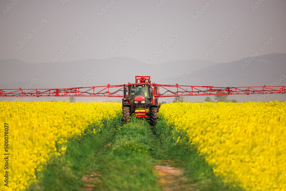 Tractor spray fertilizer spraying pesticides on rapeseed field, agriculture background concept.