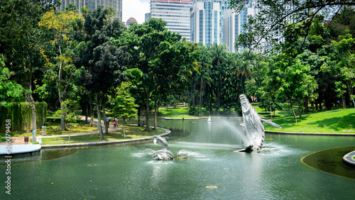 Photography The beautiful view of KLCC park with the green nature and pool with whale water